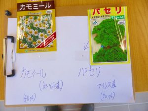 今月のポタジェボランティア活動記 1月 前編 楽しく学べる公園 広町みらい公園