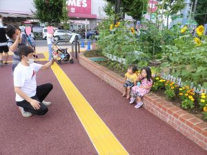 ひまわりと一緒に写真を撮ろう🌻  楽しく学べる公園 広町みらい公園